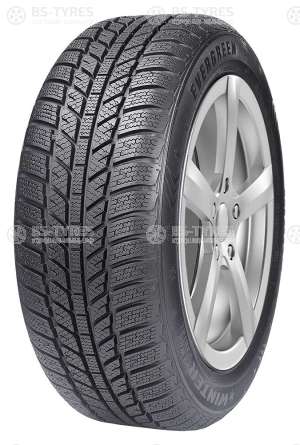 Evergreen Winter EW62 205/65 R15 94H