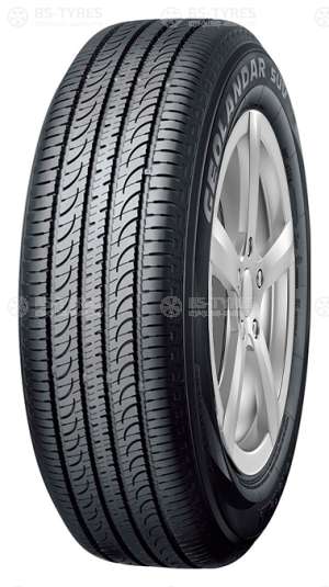 Geolandar G055