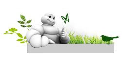 Зеленые шины